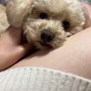 優香（ユウカ） お礼?M様 アバンチュール(五反田)