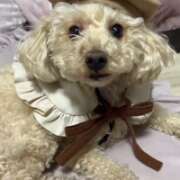 ヒメ日記 2026/03/09 19:31 投稿 優香（ユウカ） アバンチュール(五反田)