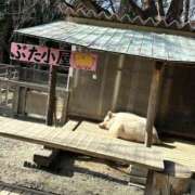 ヒメ日記 2026/03/11 21:16 投稿 優香（ユウカ） アバンチュール(五反田)