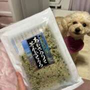 ヒメ日記 2026/03/20 14:46 投稿 優香（ユウカ） アバンチュール(五反田)