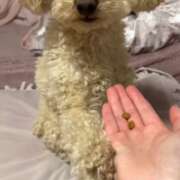 ヒメ日記 2026/03/22 19:31 投稿 優香（ユウカ） アバンチュール(五反田)