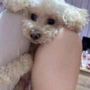 ヒメ日記 2026/03/27 21:46 投稿 優香（ユウカ） アバンチュール(五反田)