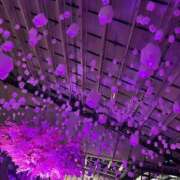 ヒメ日記 2026/04/09 15:01 投稿 優香（ユウカ） アバンチュール(五反田)