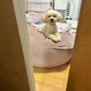 優香（ユウカ） お礼?本指O様 アバンチュール(五反田)