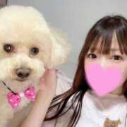 ヒメ日記 2026/05/22 17:31 投稿 優香（ユウカ） アバンチュール(五反田)