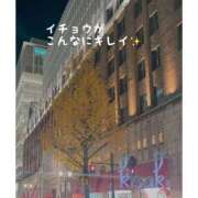 ヒメ日記 2023/12/13 18:48 投稿 きさき スピードエコ難波店