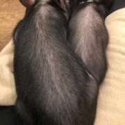 ヒメ日記 2024/12/21 19:59 投稿 あき 奥様なでしこ