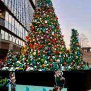 ヒメ日記 2025/12/09 10:12 投稿 ★日向あん★ CLUB39（クラブサンキュー）