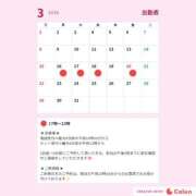 ヒメ日記 2026/03/16 07:15 投稿 もえ 横浜駅前M性感rooM