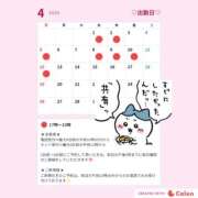 ヒメ日記 2026/04/04 00:04 投稿 もえ 横浜駅前M性感rooM