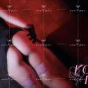 ヒメ日記 2026/04/14 12:16 投稿 もえ 横浜駅前M性感rooM