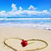 ヒメ日記 2025/09/18 19:16 投稿 長谷川ありさ 五十路マダムエクスプレス船橋店(カサブランカグループ)