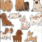 ヒメ日記 2026/01/11 09:28 投稿 えま 英乃國屋