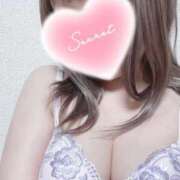 める 快適〜 ちゃんこ本厚木店