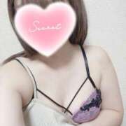 める 花見🌸 ちゃんこ本厚木店