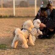 ヒメ日記 2025/11/02 16:31 投稿 梨花-りか【FG系列】 ほんとうの人妻 横浜本店