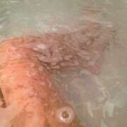 ヒメ日記 2025/12/05 17:02 投稿 梨花-りか【FG系列】 ほんとうの人妻 横浜本店