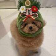 梨花-りか【FG系列】 あけましておめでとうございます ほんとうの人妻 横浜本店