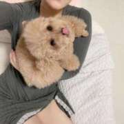 梨花-りか【FG系列】 木 ほんとうの人妻 横浜本店