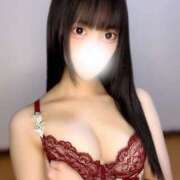 ヒメ日記 2024/12/14 21:04 投稿 あんず 姫コレクション