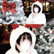 ヒメ日記 2025/12/18 14:40 投稿 あんず 姫コレクション