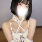 ヒメ日記 2025/12/18 17:08 投稿 あんず 姫コレクション