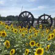 ヒメ日記 2025/07/14 18:27 投稿 沖野和歌 五十路マダム 博多店