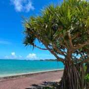 ヒメ日記 2025/08/17 12:08 投稿 沖野和歌 五十路マダム 博多店