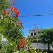 ヒメ日記 2025/09/15 16:07 投稿 沖野和歌 五十路マダム 博多店