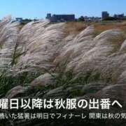 ヒメ日記 2025/09/16 19:57 投稿 沖野和歌 五十路マダム 博多店
