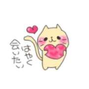 ヒメ日記 2025/09/18 09:37 投稿 沖野和歌 五十路マダム 博多店