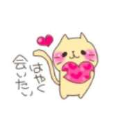 ヒメ日記 2025/09/25 08:01 投稿 沖野和歌 五十路マダム 博多店