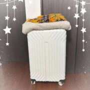 ヒメ日記 2026/01/19 23:27 投稿 沖野和歌 五十路マダム 博多店