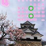 ヒメ日記 2026/03/25 12:18 投稿 沖野和歌 五十路マダム 博多店