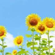 ヒメ日記 2025/08/12 12:59 投稿 池田　むつみ ギン妻パラダイス 谷九店