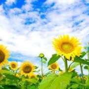 ヒメ日記 2025/08/15 13:16 投稿 池田　むつみ ギン妻パラダイス 谷九店