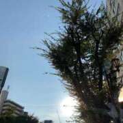 ヒメ日記 2025/08/30 17:06 投稿 池田　むつみ ギン妻パラダイス 谷九店