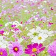 ヒメ日記 2025/09/02 12:41 投稿 池田　むつみ ギン妻パラダイス 谷九店