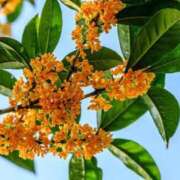 ヒメ日記 2025/11/04 16:45 投稿 池田　むつみ ギン妻パラダイス 谷九店