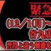 ヒメ日記 2025/11/30 17:17 投稿 池田　むつみ ギン妻パラダイス 谷九店