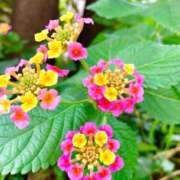 ヒメ日記 2025/12/06 14:30 投稿 池田　むつみ ギン妻パラダイス 谷九店