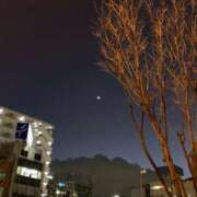 ヒメ日記 2026/01/22 17:59 投稿 池田　むつみ ギン妻パラダイス 谷九店