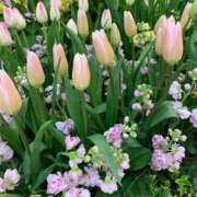 ヒメ日記 2026/03/12 11:15 投稿 池田　むつみ ギン妻パラダイス 谷九店