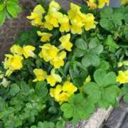 ヒメ日記 2026/04/29 18:22 投稿 池田　むつみ ギン妻パラダイス 谷九店