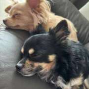 ヒメ日記 2025/05/13 19:46 投稿 ねむ マリン千姫