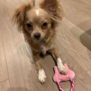 ヒメ日記 2025/05/14 21:06 投稿 ねむ マリン千姫