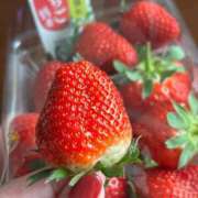 ヒメ日記 2025/05/20 12:06 投稿 ねむ マリン千姫