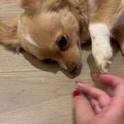 ヒメ日記 2025/05/30 22:06 投稿 ねむ マリン千姫