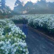 ヒメ日記 2025/06/04 05:26 投稿 ねむ マリン千姫