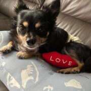 ヒメ日記 2025/06/10 17:06 投稿 ねむ マリン千姫